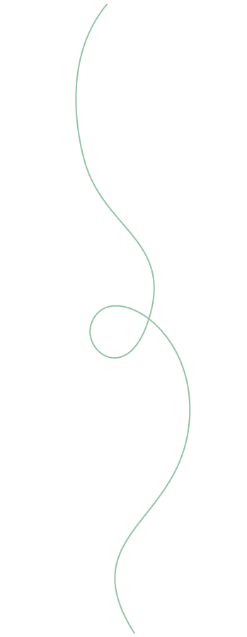 Curved line graphic representing design elements for auto body repair services at Prime Time Collision Center in Glendale, CA.